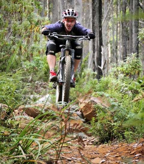 Photo: hollybank mountain bike park